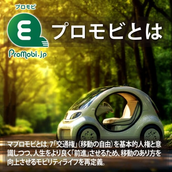 プロモビとは